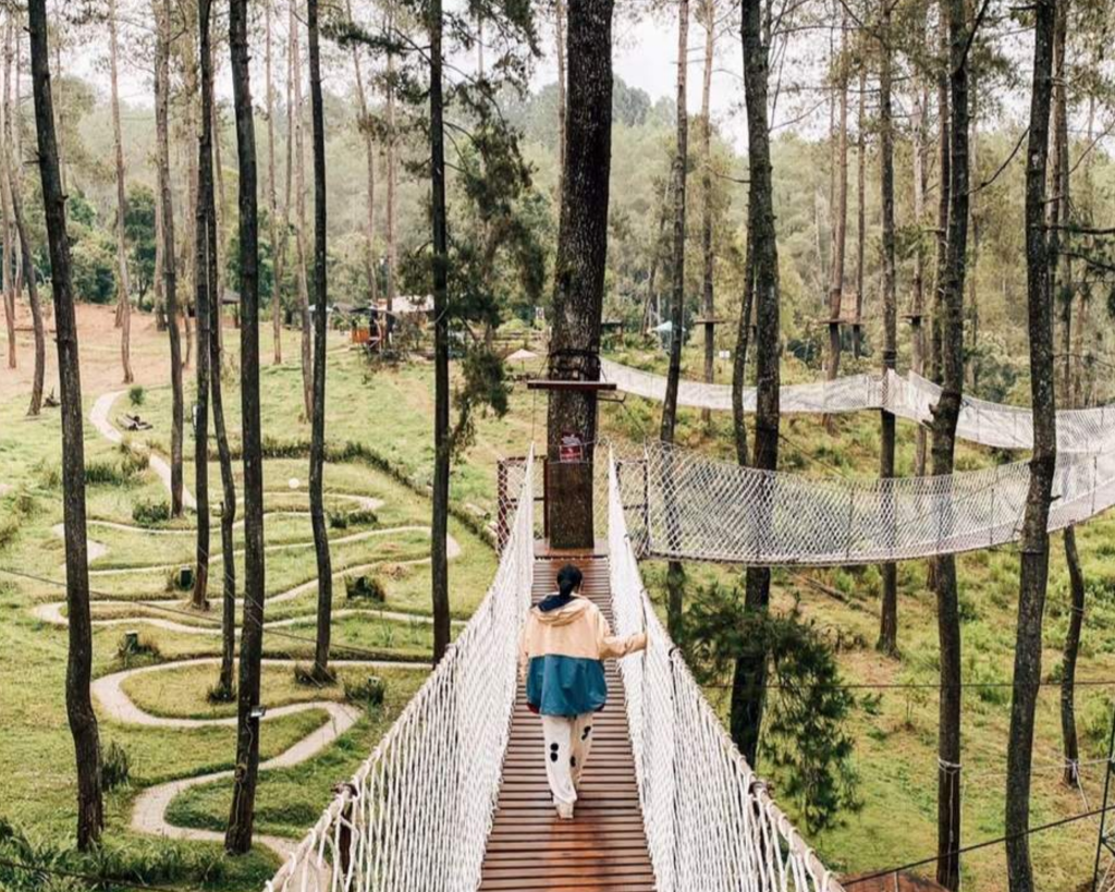 orchid forest cikole