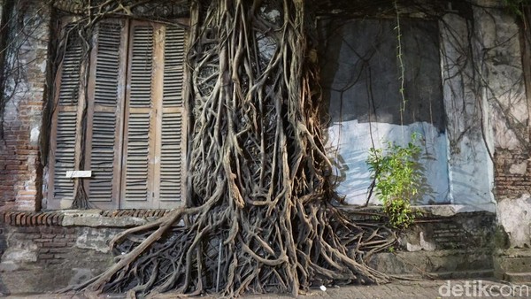 Rumah akar kota lama
